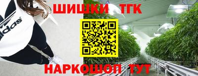 стаф Заводоуковск