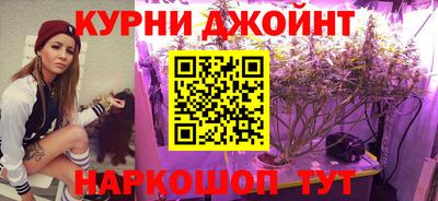 стаф Заводоуковск