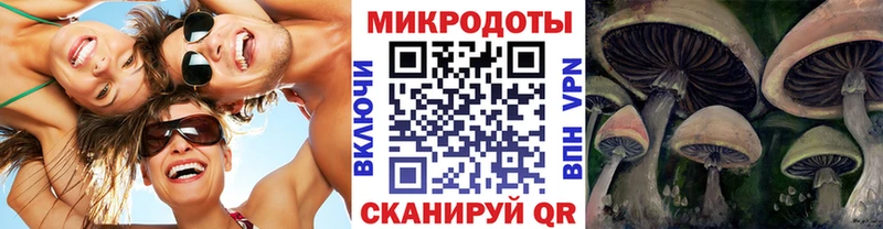 Псилоцибиновые грибы ЛСД  купить закладку  Чита 