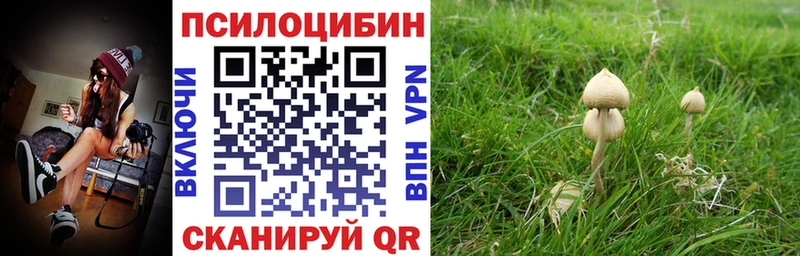 Галлюциногенные грибы ЛСД Чита
