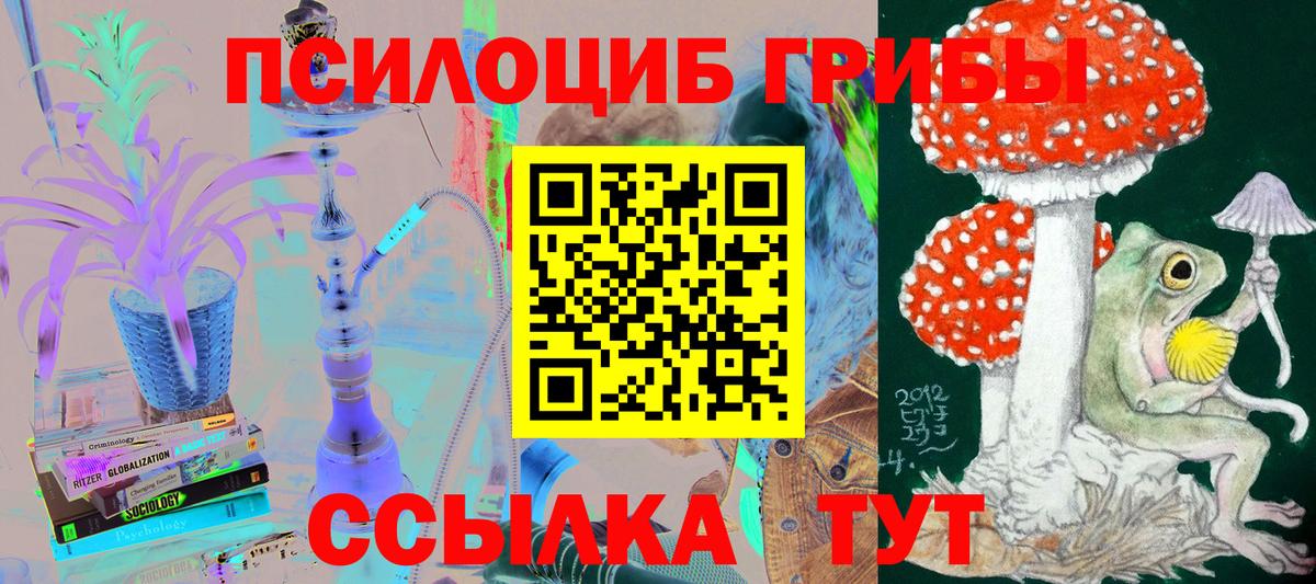 Чита  Псилоцибиновые грибы Psilocybine cubensis  Псилоцибиновые грибы GOLDEN TEACHER  Вход с VPN 
