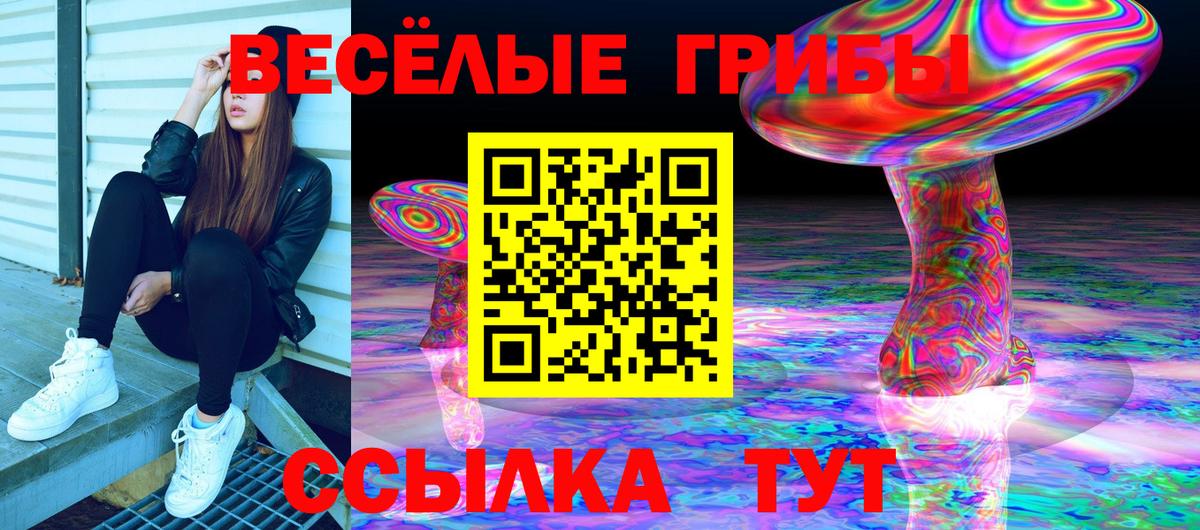 Псилоцибиновые грибы прущие грибы Чита